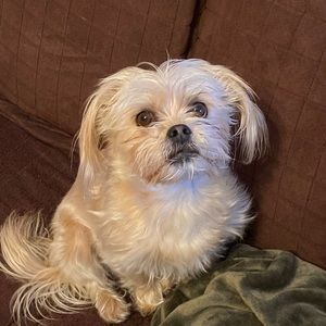 Meet your Posher, Carley